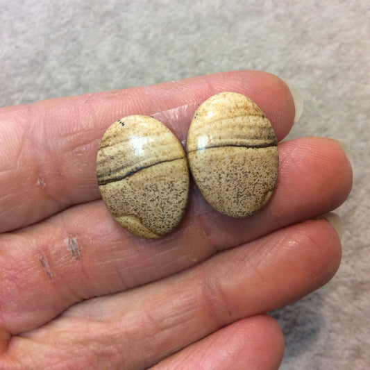 OOAK Matching Pair of Natural Picture Jasper Oval Shaped Flat Back Cabochons - Measuring 15mm x 21mm, 4mm Dome Height - Quality Gemstone