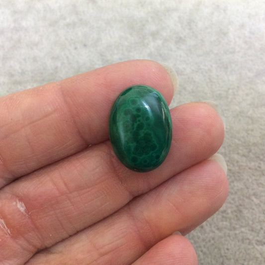 OOAK Genuine Malachite Oblong/Oval Shaped Flat Backed Cabochon - Measuring 14.5mm x 20mm, 6mm Dome Height - Natural High Quality Cab