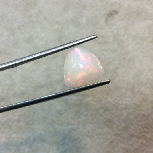 Natural Ethiopian Opal Smooth Trillion Shaped Flat Back Cabochon 'DD' - Measuring 12mm x 12mm, 5mm Dome Height - High Quality Gemstone Cab