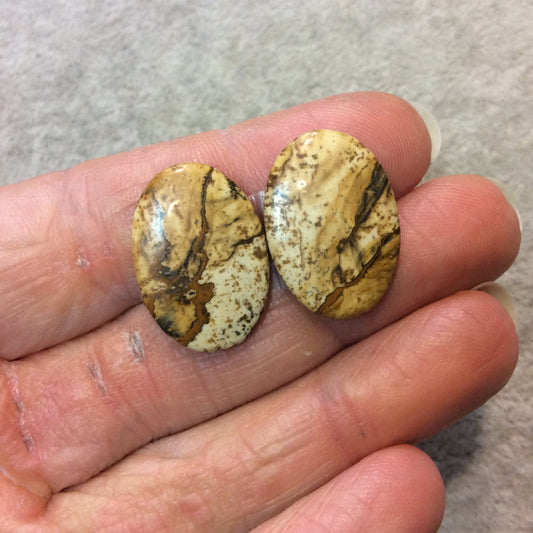 OOAK Matching Pair of Natural Picture Jasper Oval Shaped Flat Back Cabochons - Measuring 16mm x 23mm, 3mm Dome Height - Quality Gemstone