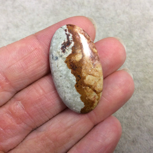 Natural American Picture Jasper Oblong Oval Shaped Flat Back Cabochon - Measuring 21mm x 37mm, 5mm Dome Height - High Quality Gemstone