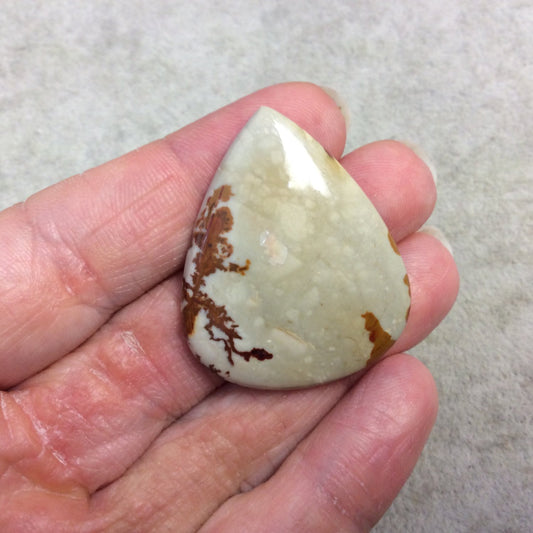 Natural American Picture Jasper Teardrop/Pear Shaped Flat Back Cabochon - Measuring 33mm x 39mm, 5mm Dome Height - High Quality Gemstone