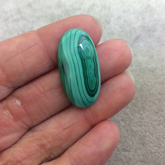 OOAK Genuine Malachite Oblong/Oval Shaped Flat Backed Cabochon - Measuring 16mm x 32mm, 6mm Dome Height - Natural High Quality Cab