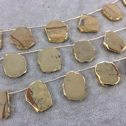 Picture Jasper Slab Beads with Gold Electroplating - Smooth Top Drilled Beads