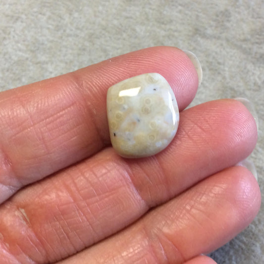 Single OOAK Natural Ocean Jasper Freeform Diamond Shaped Flat Back Cabochon - Measuring 14mm x 16mm, 4.5mm Dome Height - Quality Gemstone