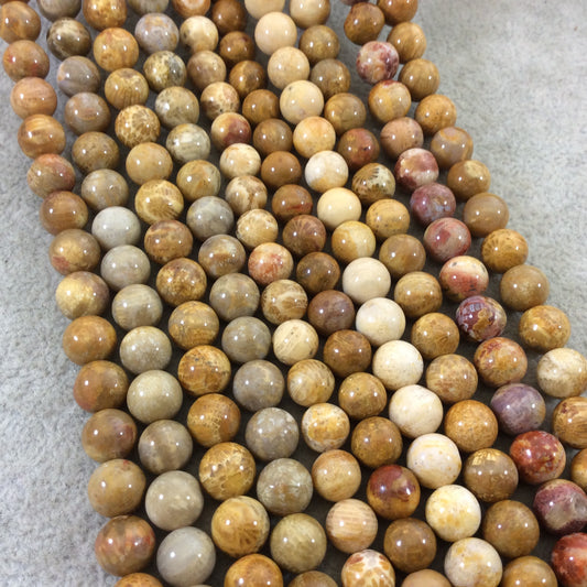 8mm Glossy Finish Natural Tan/Yellow Fossilized Coral Round/Ball Shaped Beads with 1mm Holes - Sold by 15.5" Strands (Approx. 49 Beads)