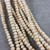 6mm Cream Colored Unfinished/Plain Natural Wooden Rondelle Shaped Beads with 2mm Holes - Sold by 15.5" Strands (Approx. 84 Beads)