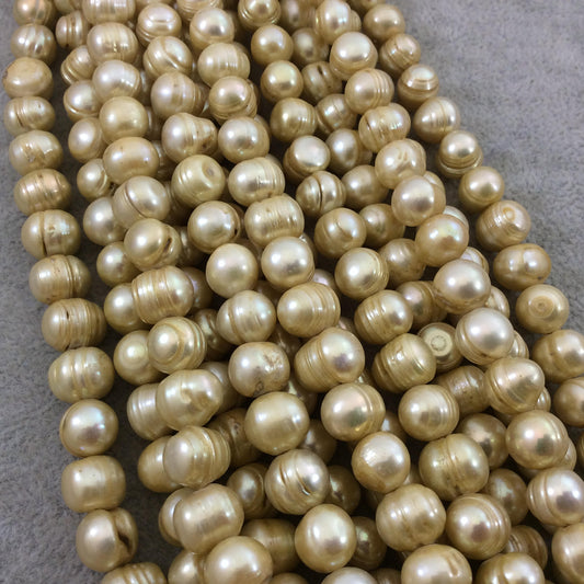 9mm-11mm AB Quality Natural Freshwater Yellow/Light Gold Potato Shaped Beads - 15" Strand (Approx. 45 Beads) - Sold by the Strand