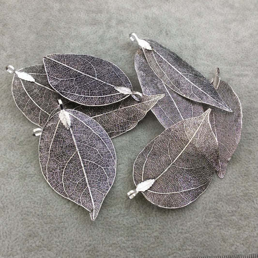 Large Oxidized Silver Finish Electroplated Copper Leaf Pendants with Attached Bail - Measuring 60-75mm Long - Sold Individually