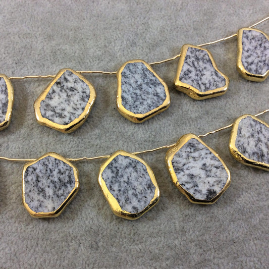 Feldspar Slab Beads with Gold Electroplating - Smooth Top Drilled Beads