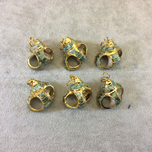 Gold Electroplated Natural Carved Green Spiral Shell Pendant W/ Loop & Ring - ~ 20-30mm x 20-30mm - Limited Stock, Chosen at Random!