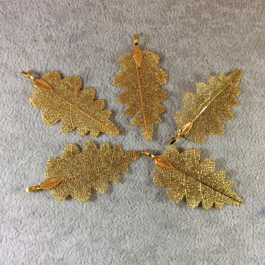 Large Bright Gold Finish Electroplated Copper Scalloped Leaf Pendant with Attached Bail - Measuring Approx. 50mm Long - Sold Individually