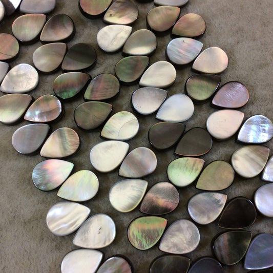 Smooth Flat Teardrop Shaped Iridescent Black Lip Shell Beads - 15" Strand (Approx. 57 Beads) - Measuring 10mm x 14mm - Natural Shell Beads