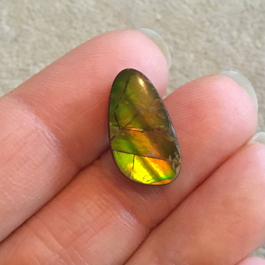 OOAK Backed Ammonite Freeform Shaped Flat Back Cabochon "6" - Measuring 10mm x 18mm, 4mm Dome Height - Natural High Quality Fossil