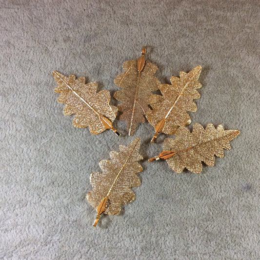 Large Light Gold Finish Electroplated Copper Scalloped Leaf Pendant with Attached Bail - Measuring Approx. 50mm Long - Sold Individually