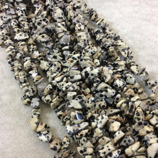 Natural Spotted Dalmatian Jasper Chip/Nugget Shaped Beads with 1mm Holes - Sold by 32" Double Strands (~ 225 Beads) - 2-4mm x 8-10mm