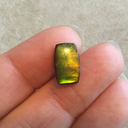 OOAK Backed Ammonite Rectangle Shaped Flat Back Cabochon "3" - Measuring 8mm x 13mm, 3.5mm Dome Height - Natural High Quality Fossil