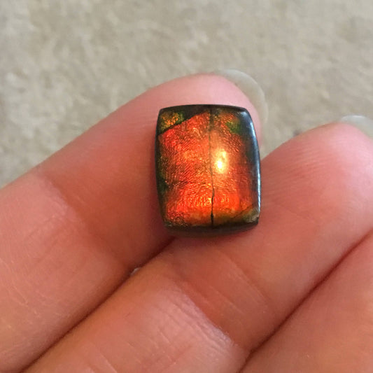 OOAK Backed Ammonite Rectangle Shaped Flat Back Cabochon "5" - Measuring 11mm x 14mm, 4mm Dome Height - Natural High Quality Fossil