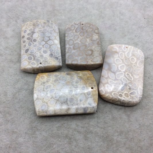 Premium Fossil Coral Rounded Rectangle Shaped Top Drilled Pendant - Measuring 30-35mm x 45-55mm, - Natural High Quality Gemstone