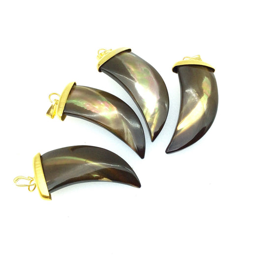 Paua Shell Claw Tooth Pendant, 15mm x 31mm with Gold plated Copper Bail
