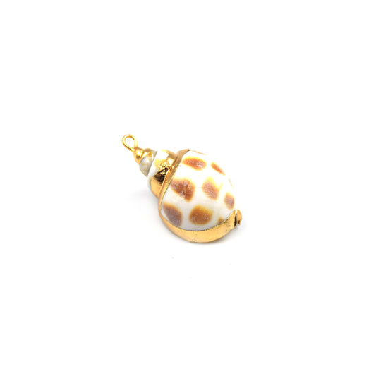 Gold Electroplated Natural Bonnet Sea Shell Pendant W/ Loop & Ring - 15mm x 25mm - Chosen at Random!
