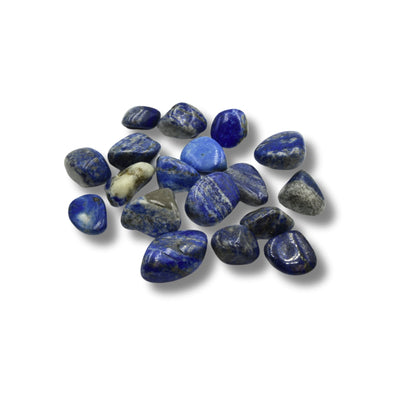 Gemstone Tumbles | Lapis Mix Amazonite | Metaphysical Stones