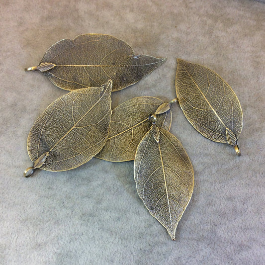 Large Brass Finish Electroplated Copper Leaf Pendants with Attached Bail - Measuring 60-70mm Long - Sold Individually