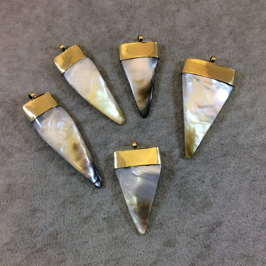 Flat Triangle Shaped Abalone Shell Pendant with Gold Plated Cap - Measuring 40-60mm High, Approximately - Sold Individually (TR035-WA)