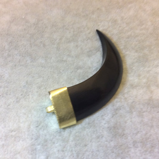 SALE - 3" Long Curved Tusk/Claw Shaped Black Acrylic Pendant with Gold Finish Cap - Measuring 19mm x 75mm, Approximately