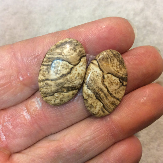Matching Pair of Picture Jasper Oval Shaped Flat Back Cabochons - Measuring 16mm x 25mm, 4mm Dome Height - Natural High Quality Gemstone