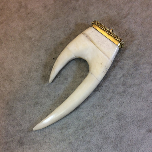 SALE 4.5" White/Ivory Flat Double Claw Shaped Natural Ox Bone Pendant with Dotted Cap - Measuring 48mm x 120mm, Approximately - (TR45WHDCDC)