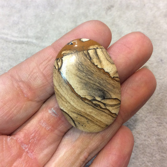 OOAK Natural Picture Jasper Oblong Oval Shaped Flat Back Cabochon - Measuring 27mm x 39.5mm, 5mm Dome Height - High Quality Gemstone Cab