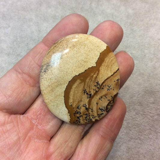 OOAK Natural Picture Jasper Oblong Oval Shaped Flat Back Cabochon - Measuring 42mm x 48mm, 5mm Dome Height - High Quality Gemstone Cab