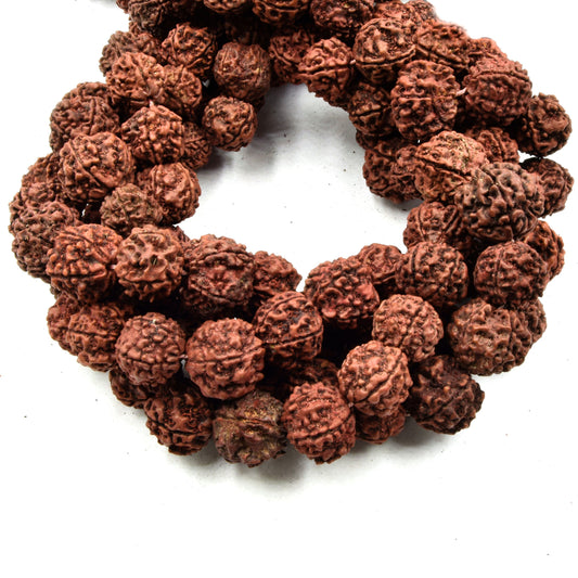 Natural Rudraksha Seed Beads: 108 Bead Strand