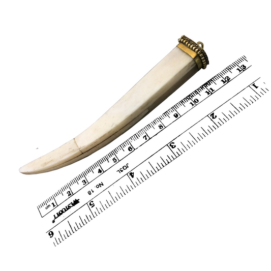 4.5" White/Ivory Square Tusk/Claw Shaped Natural Ox Bone Pendant with and Dotted Gold Cap - Measuring 17mm x 116mm - (TR048-WH)