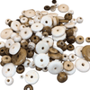 Assorted Bag of Mixed Bone Beads for Jewelry Making