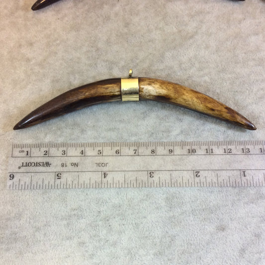 5" Medium Brown Long Skinny Banana Tusk Shaped Natural Ox Bone Pendant with Gold Plated Bail - Measuring 12 x 133mm - (TR117-MB)