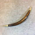 5" Medium Brown Skinny Double Bail Boat Crescent Shaped Natural Ox Bone Pendant with Gold Rings - Measuring 12mm x 145mm - (TR118-MB)