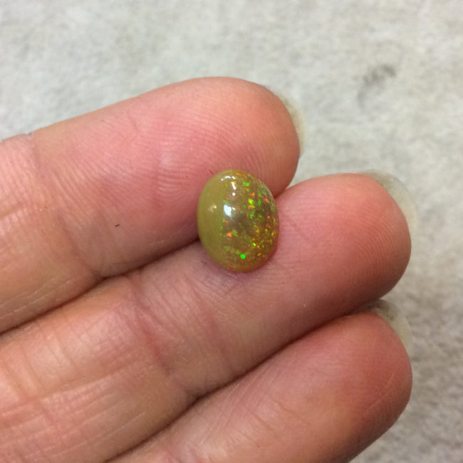 Natural Ethiopian Opal Smooth Oval Shaped Rounded Back Cabochon 'C' - Measuring 8mm x 10mm, 4mm Dome Height - High Quality Gemstone Cab