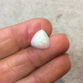 Natural Ethiopian Opal Smooth Trillion Shaped Flat Back Cabochon 'DD' - Measuring 12mm x 12mm, 5mm Dome Height - High Quality Gemstone Cab