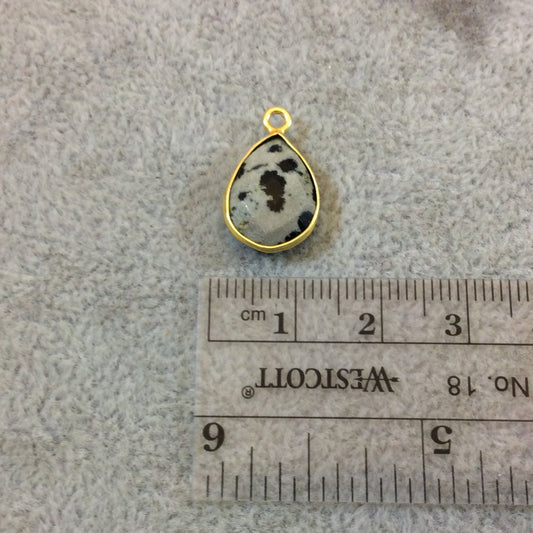 Gold Plated Natural Dalmatian Jasper Faceted Pear/Teardrop Shaped Copper Bezel Pendant - Measures 10mm x 15mm - Sold Individually, Random