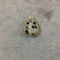 Gold Plated Natural Dalmatian Jasper Faceted Pear/Teardrop Shaped Copper Bezel Pendant - Measures 13mm x 18mm - Sold Individually, Random