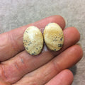 OOAK Matching Pair of Natural Picture Jasper Oval Shaped Flat Back Cabochons - Measuring 15.5mm x 22mm, 4mm Dome Height - Quality Gemstone