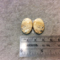 OOAK Matching Pair of Natural Picture Jasper Oval Shaped Flat Back Cabochons - Measuring 15.5mm x 22mm, 4mm Dome Height - Quality Gemstone