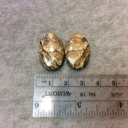 OOAK Matching Pair of Natural Picture Jasper Oval Shaped Flat Back Cabochons - Measuring 17mm x 25mm, 5.5mm Dome Height - Quality Gemstone