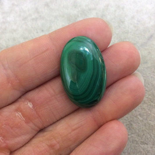 OOAK Genuine Malachite Oblong/Oval Shaped Flat Backed Cabochon - Measuring 19mm x 29mm, 5mm Dome Height - Natural High Quality Cab