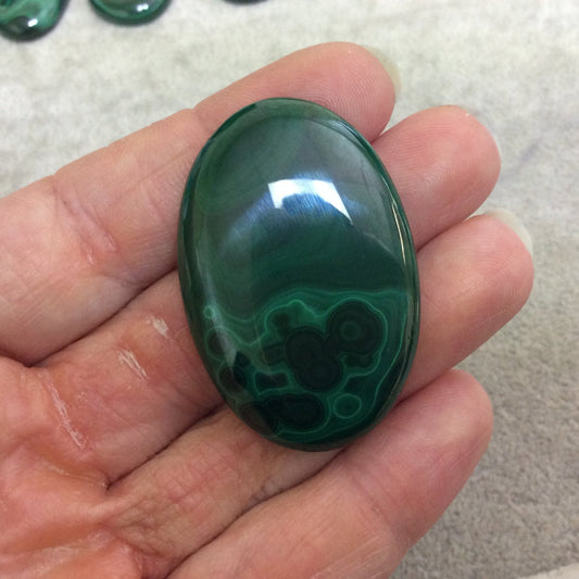 OOAK Genuine Malachite Oblong/Oval Shaped Slope Backed Cabochon - Measuring 30mm x 45mm, 6mm Dome Height - Natural High Quality Cab