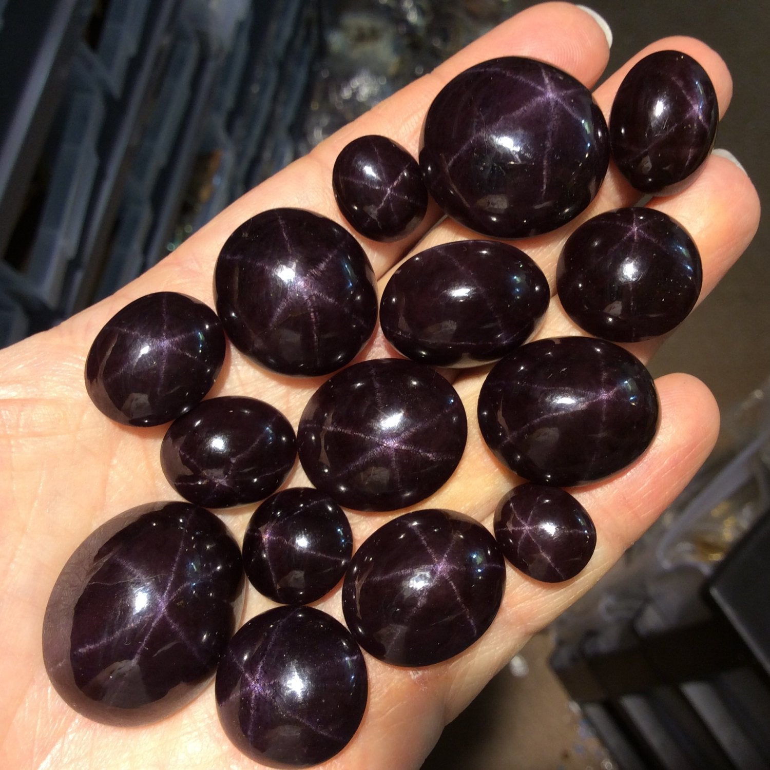 OOAK High Quality AAA Oval Shaped Dark Plum Star Garnet Flat Back Cabochon - Measuring 22mm x 24mm, 10mm Dome Height - Natural Gemstone Cab