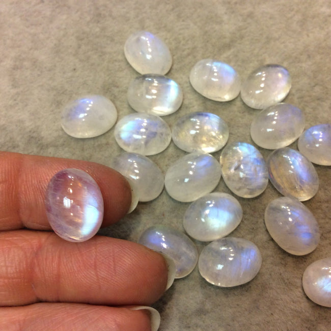 BULK LOT of Six (6) Assorted Oval Shaped AAA Moonstone Flat Back Cabochons - Measuring 12mm x 16mm, 6-8mm Dome Height - Randomly Selected