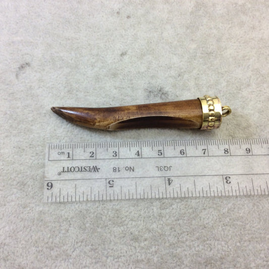 SALE 3" Warm Brown Curved Back Tusk/Claw Shaped Natural Ox Bone Pendant with New Gold Plated Cap Design - Measuring 18mm x 75mm 